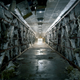 Image for article titled The collapse of the USSR left behind a haunting post-apocalyptic world